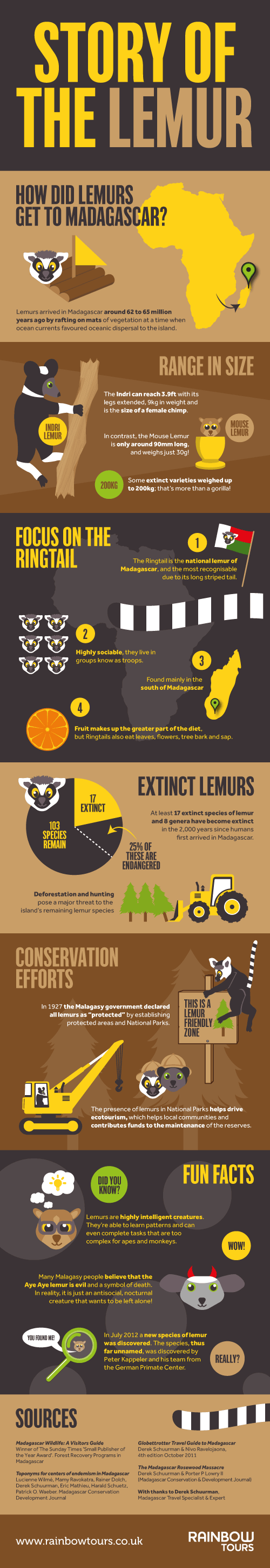 Lemur Facts Infographic – Learn about the endangered Malagasy species!