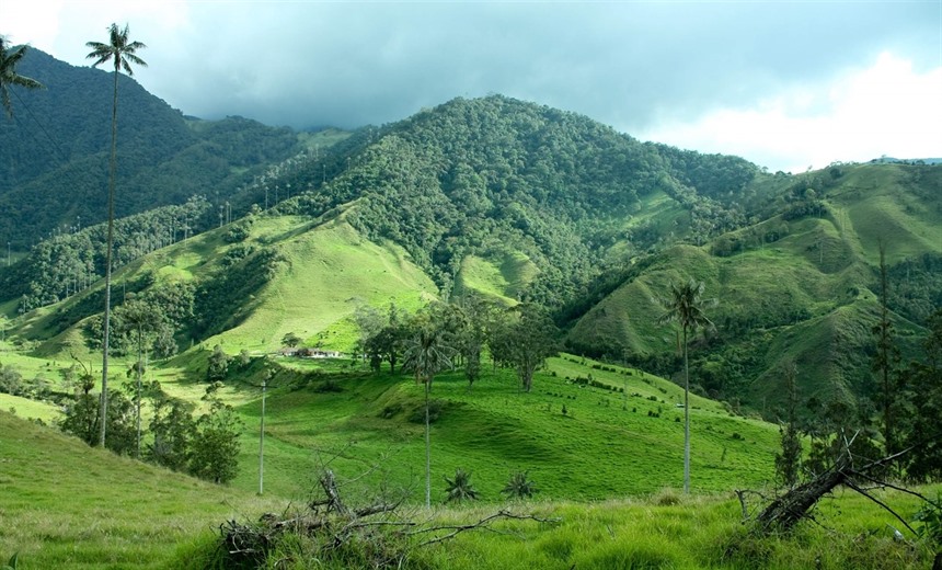 Colombia's coffee-growing region