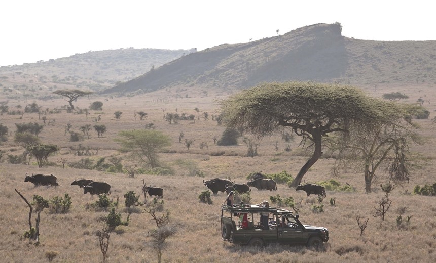 Game drive in the conservancy (Photo: Lewa Wilderness)