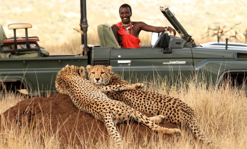 Lewa Wildlife Conservancy - an Exclusive and Authentic Kenya Safari Experience : Section 8