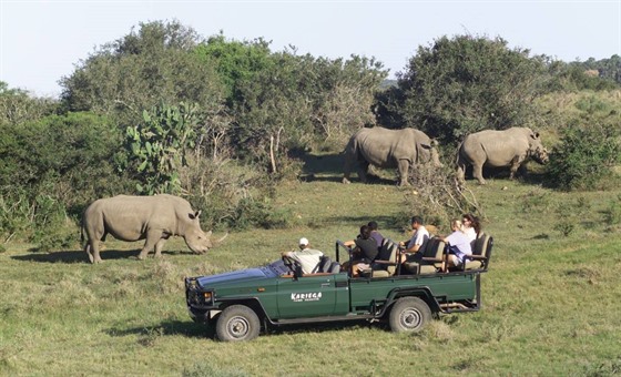 Safari drives in Kariega Game Reserve