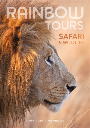 Safari & Wildlife