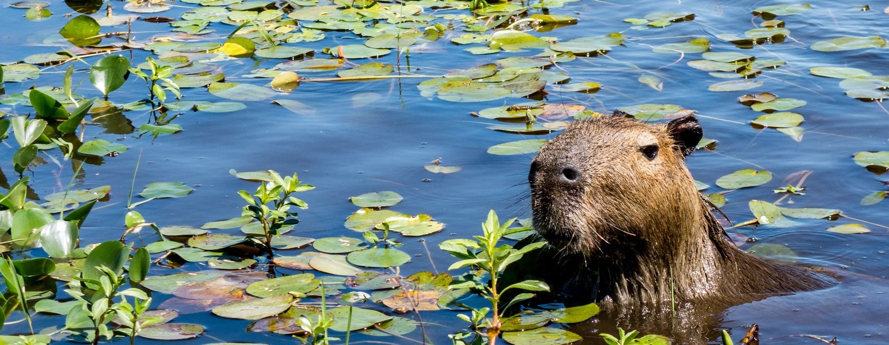 Argentina Holidays Rainbow Tours