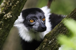 Ultimate Antarctica Adventure