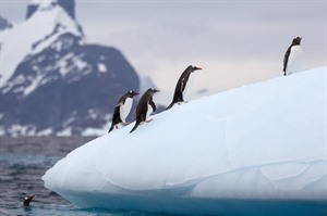 Ultimate Antarctica Adventure