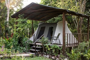 Uaxactun Camping & Tikal Tour 1