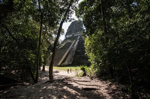Uaxactun Camping & Tikal Tour 4