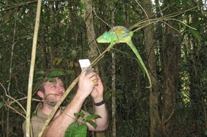 Daniel Austin photographing Parson's chameleon, Mitsinjo rainforest