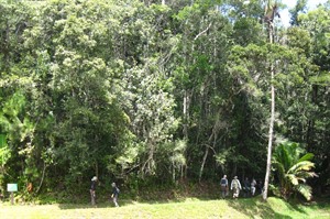 Group at rainforest edge, Mitsinjo. (Derek)
