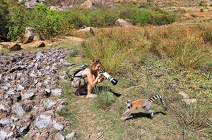 Anja Guided Ringtailed lemurs visit 3
