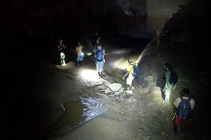 One of our groups in Mandresy Cave (Daniel Austin, 2018)