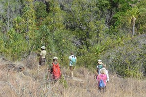 Isalo guided wildlife hike 2