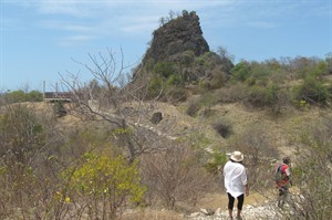 Montagne des Francais Baobab trail 2