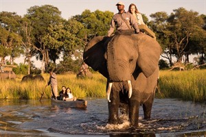 Elephants at Abu Camp & Villa Okavango