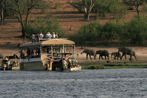 Chobe Elephant Camp