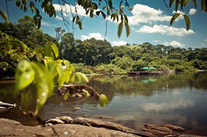 Submerge yourself in the nature of the Amazon