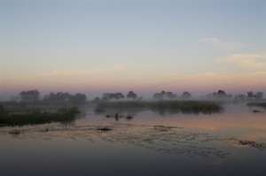 Mist Over The Lagoon