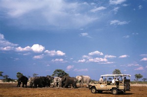 Belmond Savute Elephant Camp 3