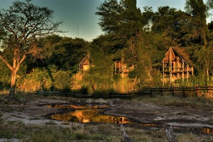 Savute Safari Lodge 2
