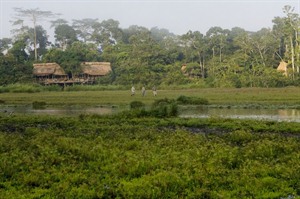Lango Camp, Odzala-Kokoua National Park