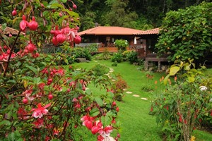 The Gardens at Trogon Lodge