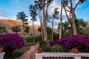 Hacienda Piman - gardens