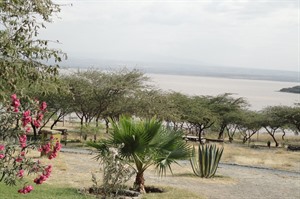 Relaxed Lake Langano