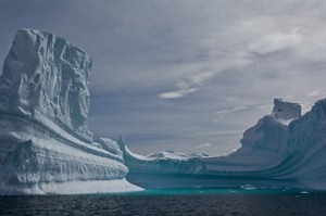 Majestic icebergs