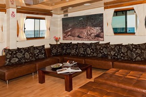 Galapagos Seaman Journey, lounge