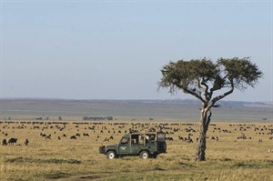 Safari from Governors' Camp, Masai Mara, Kenya