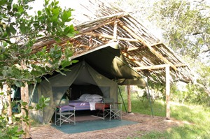 Ol Pejeta Bush Camp 1