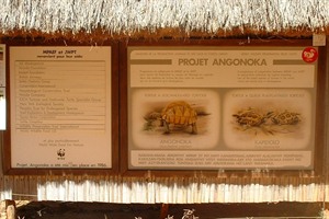 The Durrell Wildlife Conservation Trust's Projet Angonoka