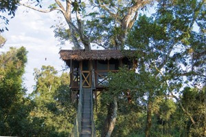 Inkaterra Reserva Amazonica, Canopy Treehouse