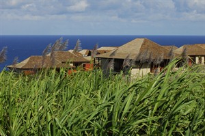 Palm Hotel & Spa is bordered by fields of sugar cane