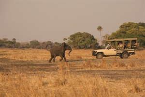 Safaris at Katuma Bush Lodge