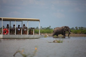 Observing elephants on the lake