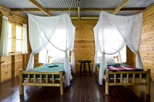 Twin Room at Budongo Eco Lodge