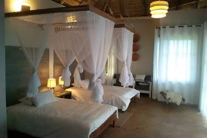 Twin Room at Elephant Plains Lodge