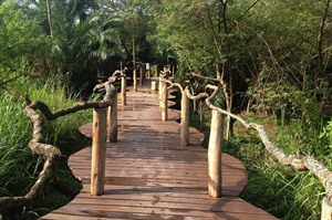 Trail at Enjojo Lodge