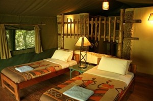 Twin Room at Kibale Forest Camp