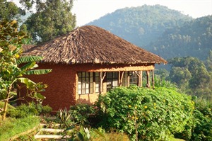 Mahogany Springs Lodge Cottage