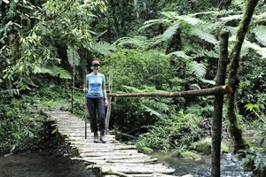 Trails at Nkuringo Bwindi Gorilla Lodge