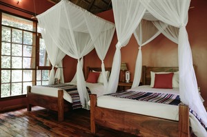Twin Room at Primate Lodge Kibale