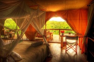 Room at Semliki Safari Lodge