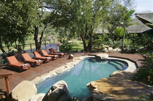 Amakhosi Safari Lodge Pool