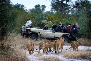 Arathusa Safari Lodge Activity