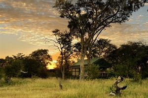Exterior of Bomani Tented Camp