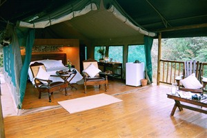 Room at Inkwenkwezi Game Reserve