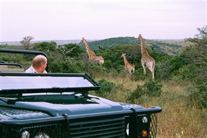 On safari at Inkwenkwezi Game Reserve