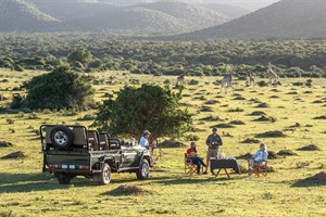 Kariega Game Reserve - On Safari